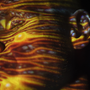 少妇搡BBBB搡BBB搡18禁
