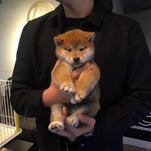 少妇搡BBBB搡BBB搡18禁
